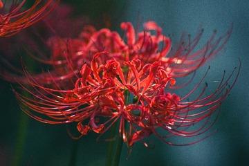 C1F85119-8B65-4604-AB9B-7DF5E3C3CB07/L0/001