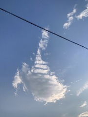 1000008527