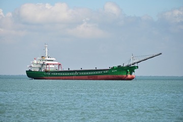 DSC_0825尼康Z7ii梅耶200