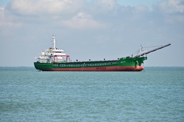 DSC_0828尼康Z7ii梅耶200