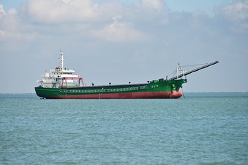 DSC_0824尼康Z7ii梅耶200