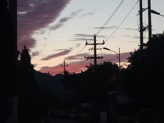 17313