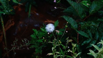 7E0367D5-4770-4ACA-9AFC-F6ED6D53547A/L0/001