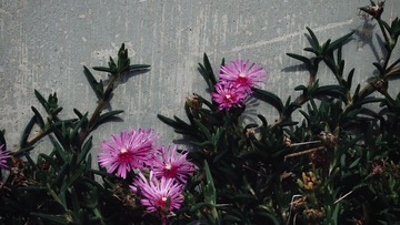 EBB1A47F-C4C5-4925-A997-2D329552C29B/L0/001