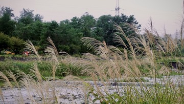 C4156C7C-DC7C-416D-A31A-6478DA85EF59/L0/001