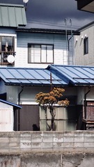 36BCD849-8120-4262-8F1E-55B533155914/L0/001