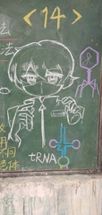 137118