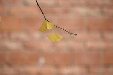 261340