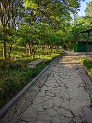 1000029751