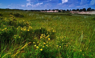 SDIM4326.jpg