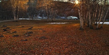 SDIM2791.jpg