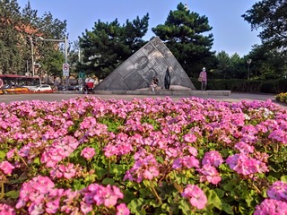 家