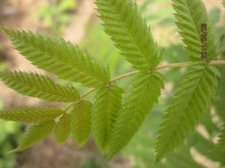纹理