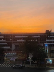 1000084163