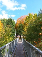 20121009_132508.jpg