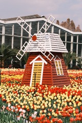 0BB84007-3F8A-482B-B57E-47E09867986E/L0/001