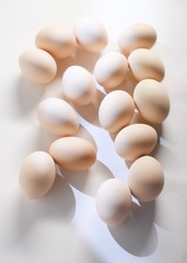 17229