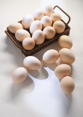 17228