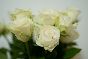 627E23D1-4F10-491D-84F9-D043FDFC1A0E/L0/001