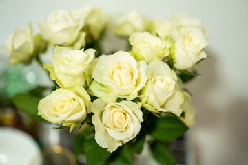 1C0D025D-EA4F-4EF2-8DF7-6EA0C5EF93DD/L0/001