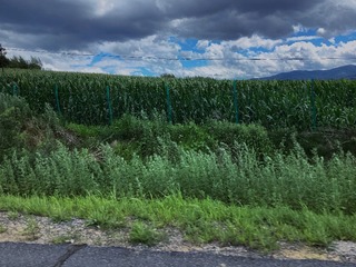 8A546198-B0AD-4B3C-A72C-5E3D014BC88A/L0/001