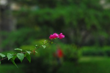 DSC_0640.JPG