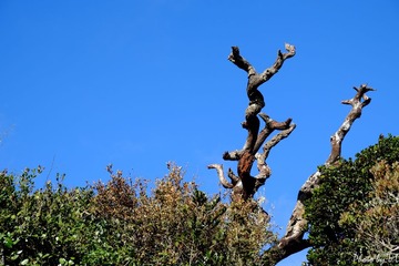 DSCF0558.JPG