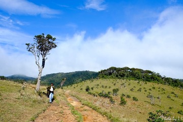 DSCF0635.JPG
