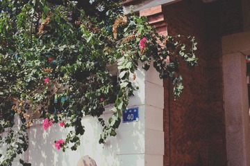 _DSF1632-Edit