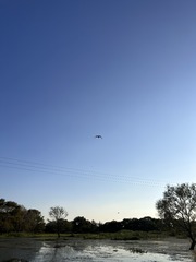 C150017A-F38B-4130-A994-C8AE8A885576/L0/001