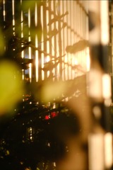 378F1990-6A96-4AEB-B7D5-CF178B117C20/L0/001