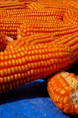 8715985D-9FA0-4A24-9DB5-405DB3C98BC5/L0/001