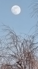 1000035060