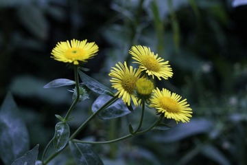 2012.09.05-2.JPG