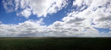 2010.07.30-6.jpg
