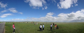 2010.07.30-7.jpg