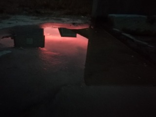 1003178