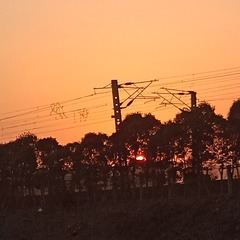 1000003257