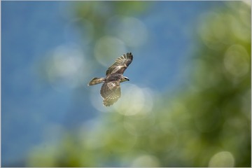 E9D16566-D3AB-44CD-A8B3-5B8976BF6160/L0/001