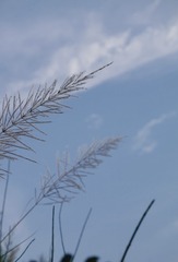30D2B085-6E55-49B9-8D77-B5C0FA3743AB/L0/001