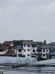076A7E13-A8BE-4087-AB2F-5D49DDD8F5A8/L0/001