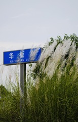 74ECFF3E-EA28-4891-984B-667B263FE798/L0/001
