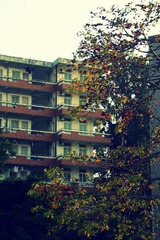 IMG_4764.JPG