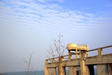 IMG_4861.JPG