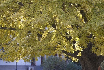 20121029 15.jpg