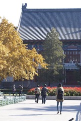 20121029 16.jpg