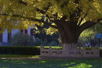20121029 22.jpg