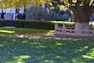 20121029 24.jpg