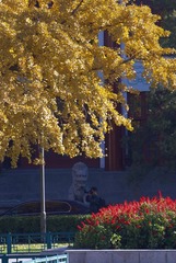 20121029 23.jpg