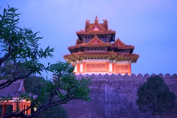 _LLN2228故宫角楼20130704-桃树1.jpg